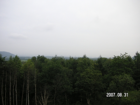 s_PICT0663.jpg